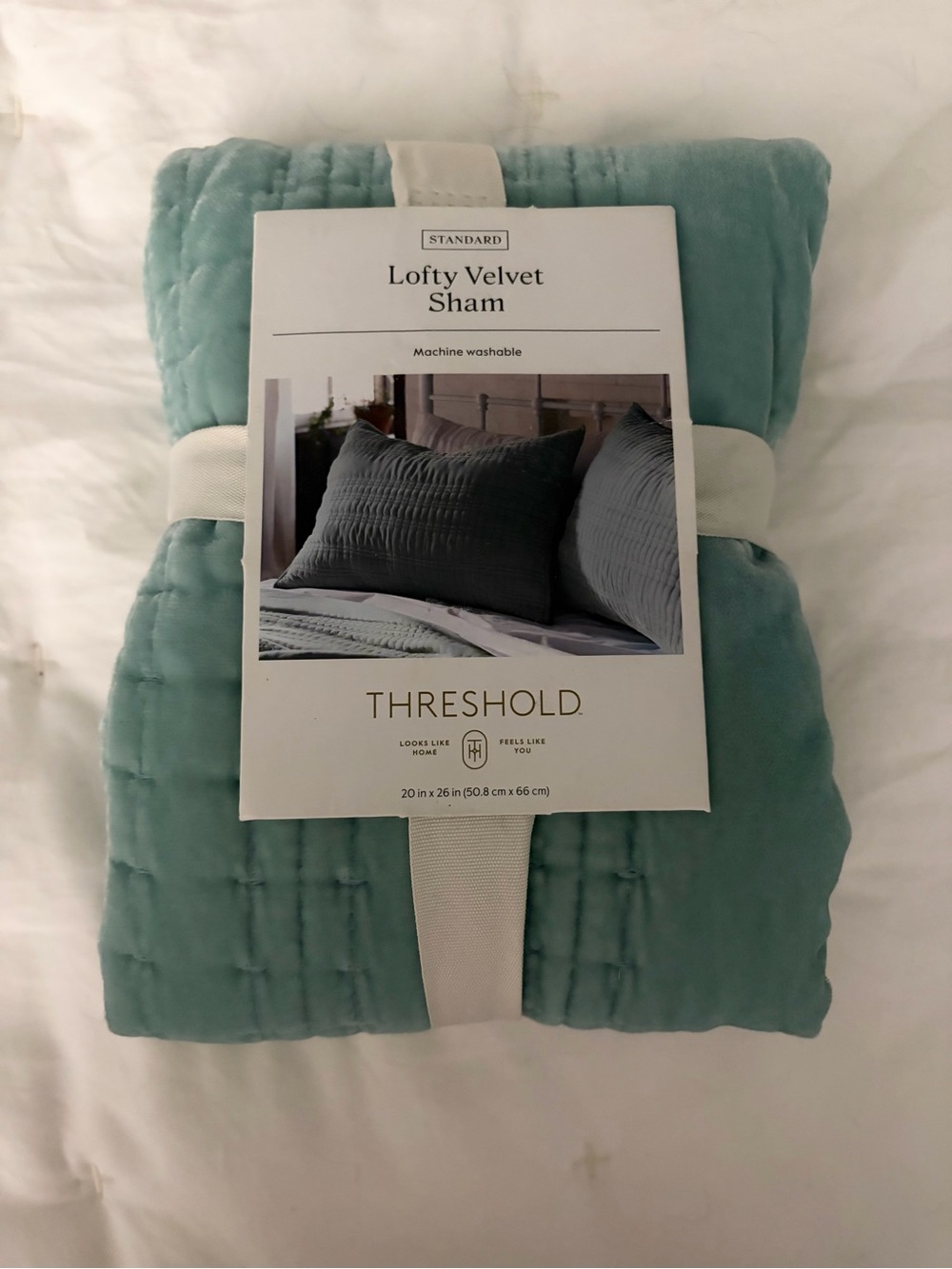 New w/Tags Threshold Lofty Velvet Sham - Seafoam